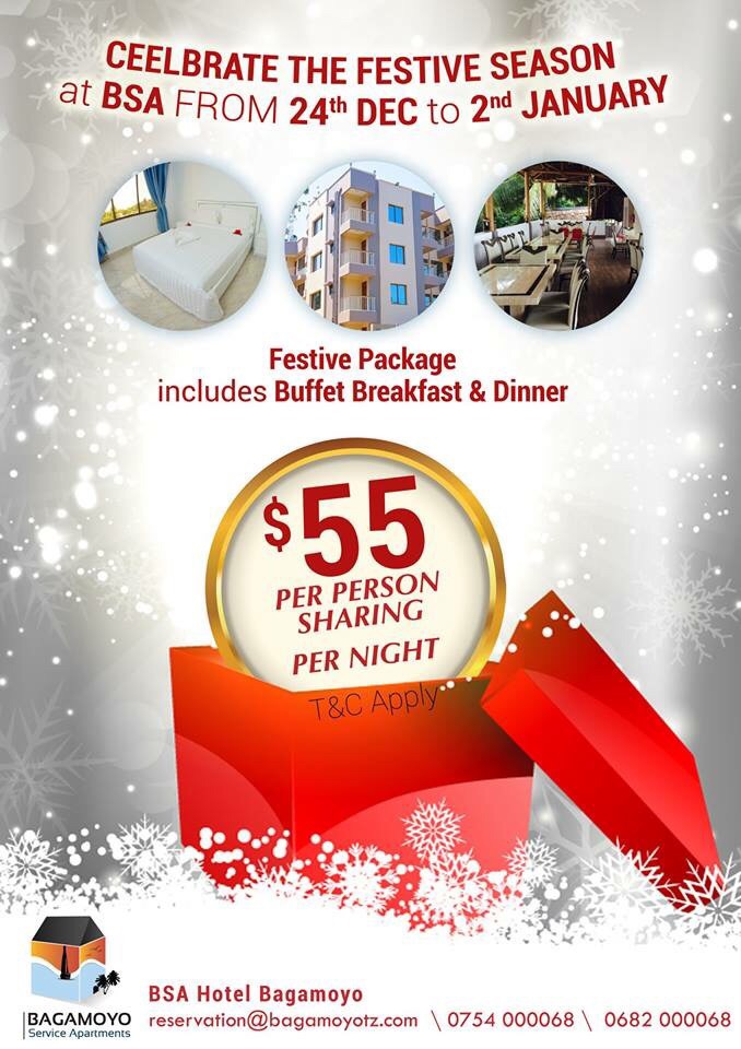 Celebrate the Festive Season