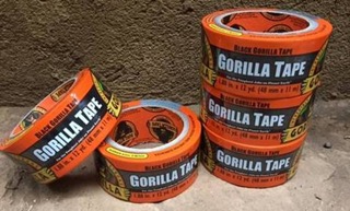 Gorilla