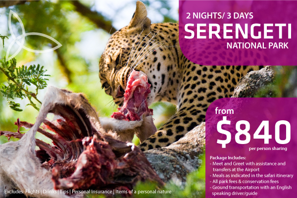 karibu-serengeti-2-nights