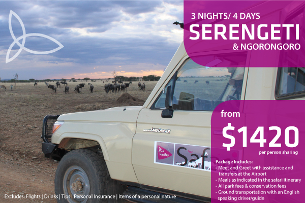 karibu-serengeti-3-night