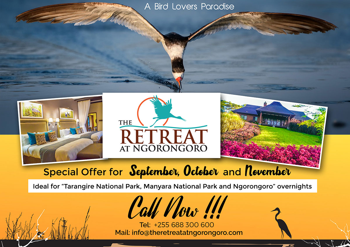 Special offer for September, October and November