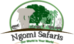 Ngomi Safaris Ngomi Safaris