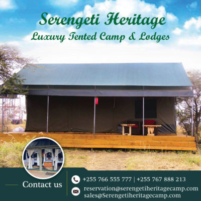 Luxury tented camps