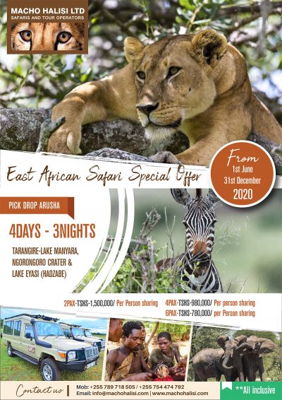 Macho Halisi East African Safari Special