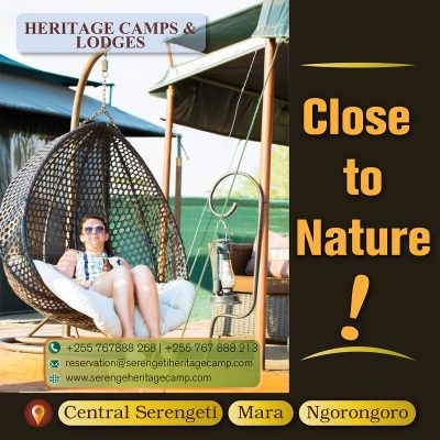 Serengeti Heritage Camps & Lodges Advertisement