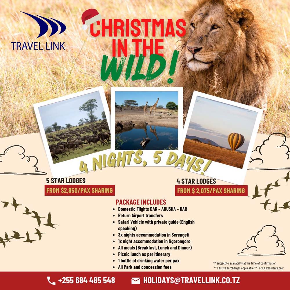 Christmas in the Wild!