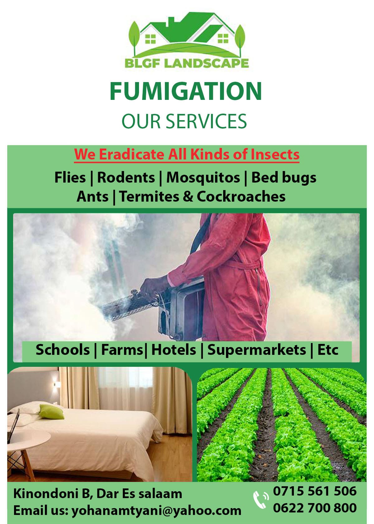 We eradicate all kinds of insects