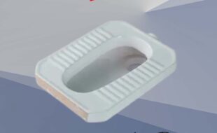 Asian toilets