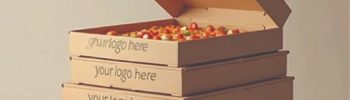 Custom Packaging Solutions