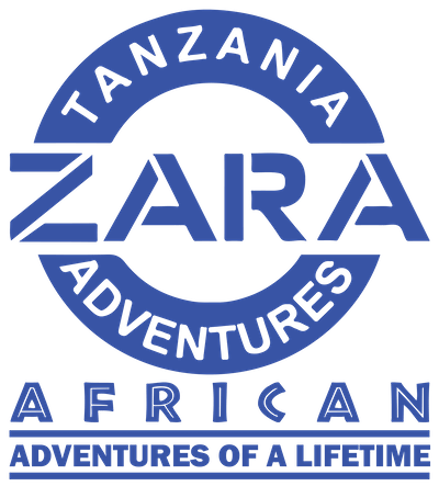 Zara Tanzania Adventures