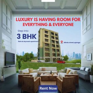 Apartment Rentals