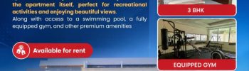 Amenity Apartments
