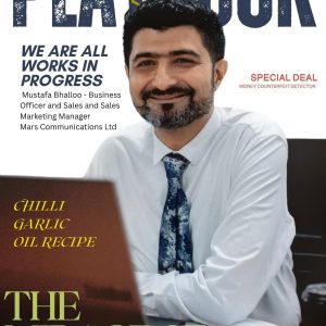 PlayBook V41