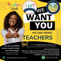 Meadows-Schools-Join-the-Meadows-Schools-Team1